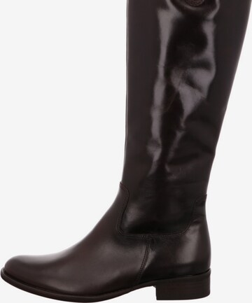 GABOR Boots in Brown