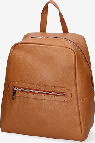 Sac à dos Gave Lux en marron : devant