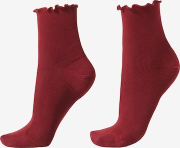 CALZEDONIA Socken in Rot: Vorderseite