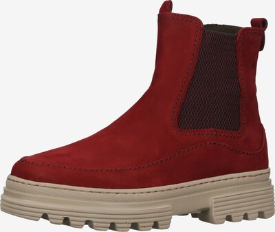 Ankle boots GABOR di colore rosso / bordeaux, Visualizzazione prodotti