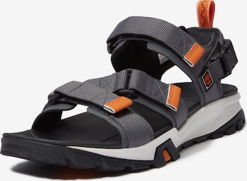 TIMBERLAND Hiking Sandals in Grey: front