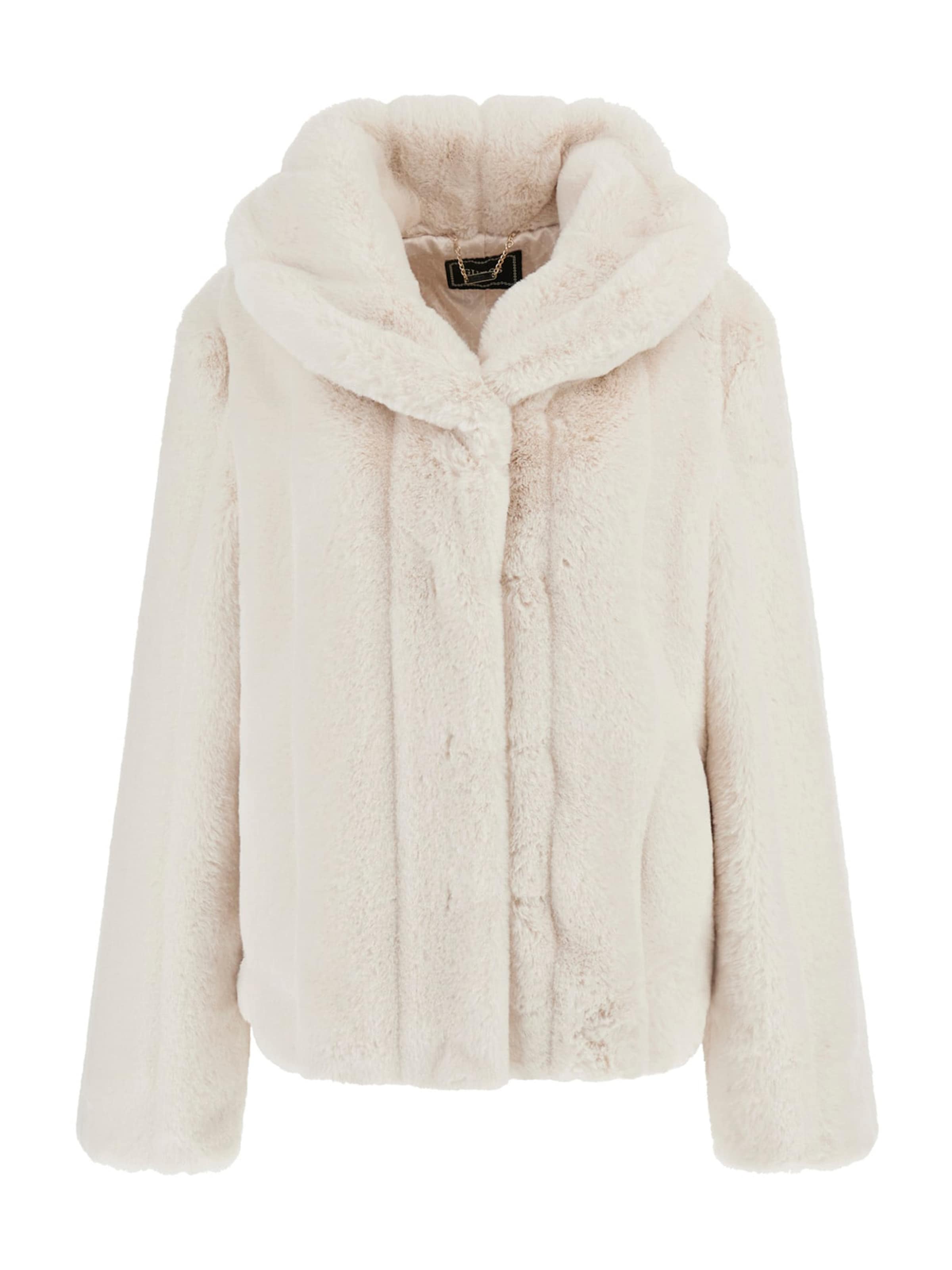 GUESS Winter jacket 'NEW SOPHY' in Grey: front