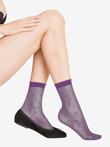 Chaussettes FALKE en violet : devant