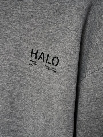 HALO Sweatshirt in Grey