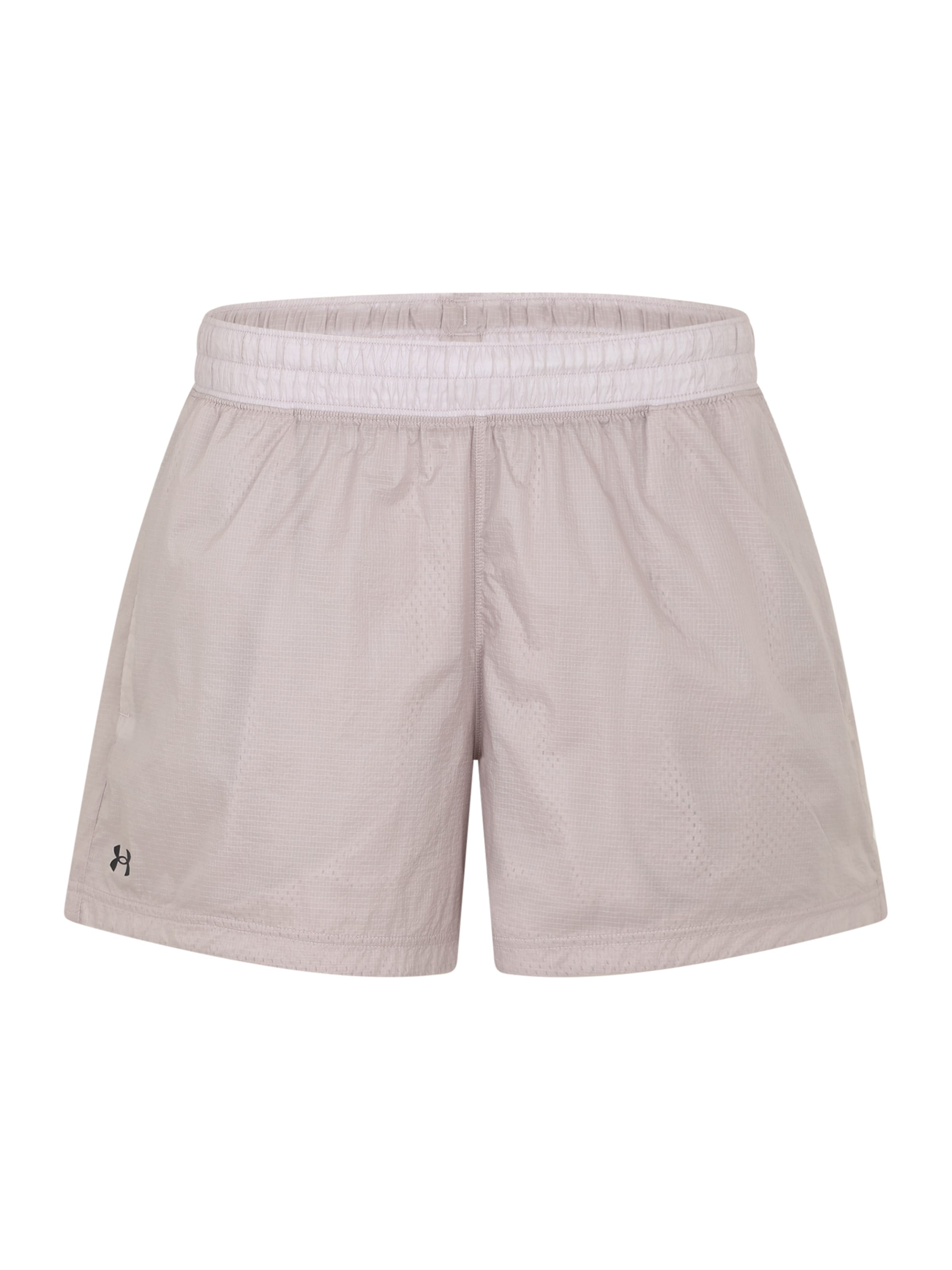 UNDER ARMOUR Normalny krój Spodnie sportowe w kolorze szary: przód