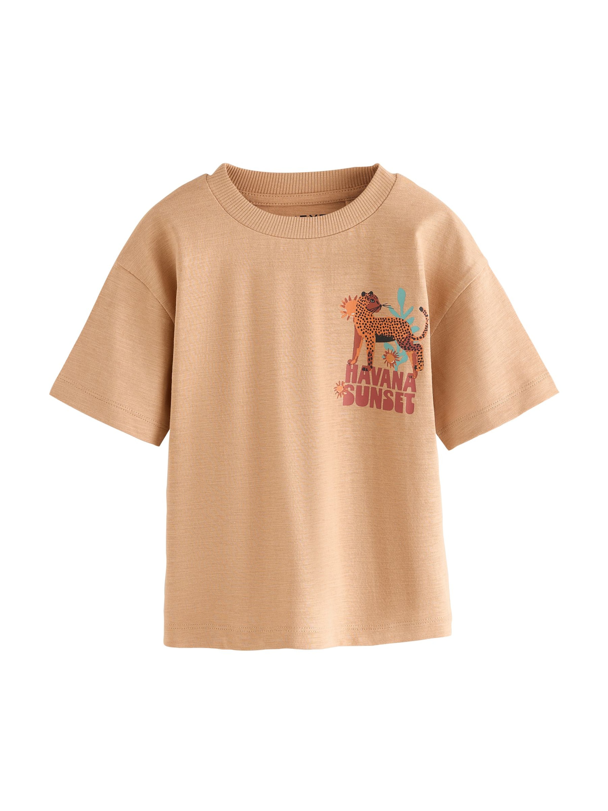 T-Shirt Next en marron : devant