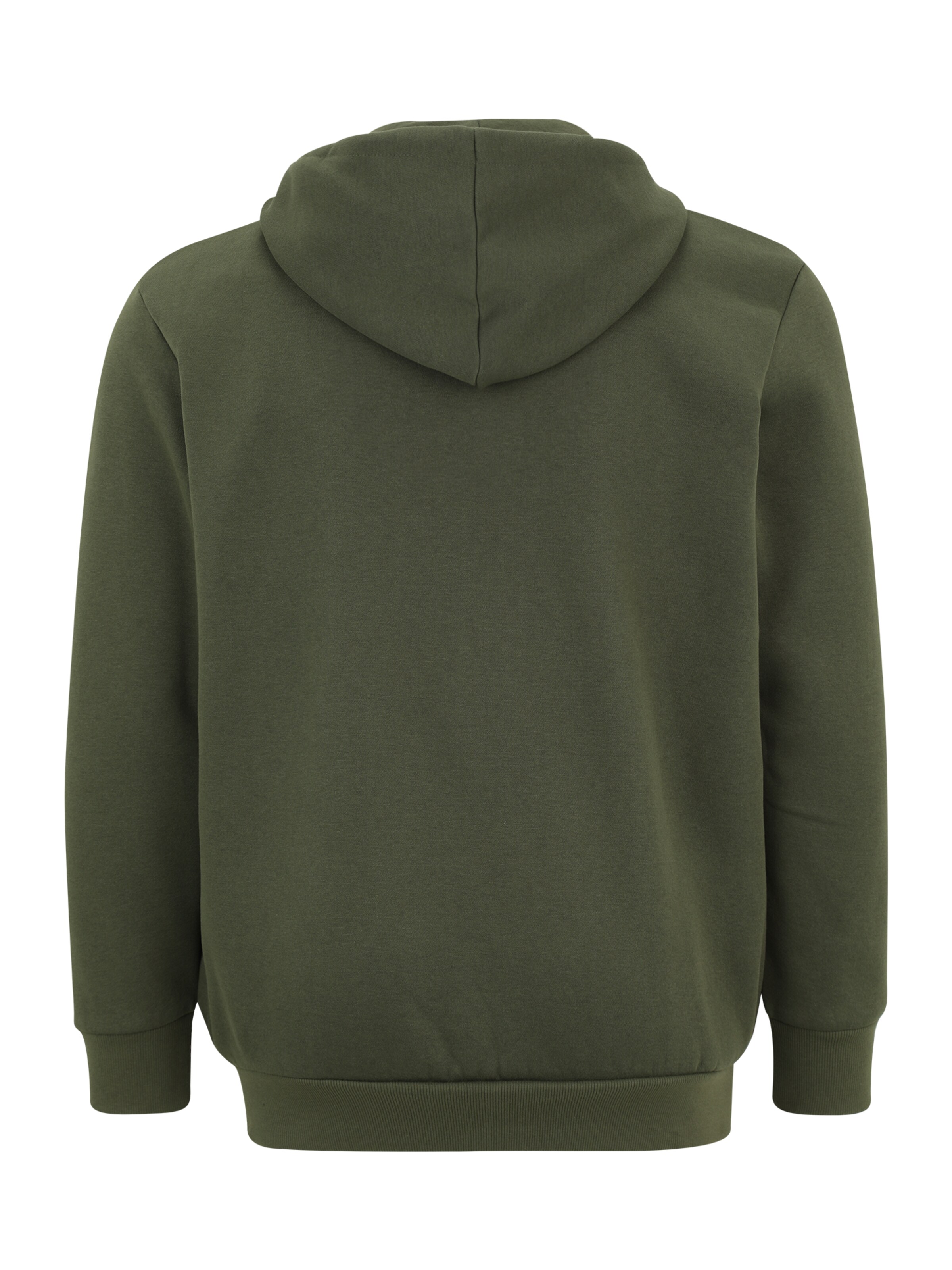 JACK & JONES Sweatjakke 'JJMAKOTO' i grøn