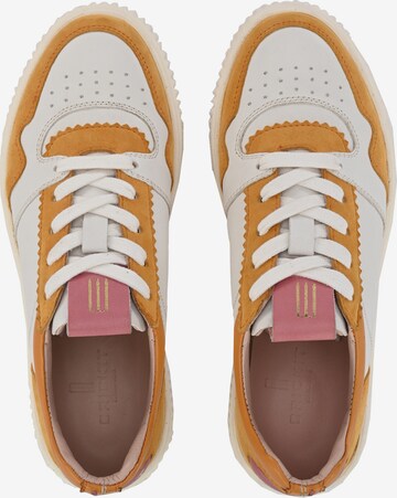 Crickit Sneakers 'MAURA' in White