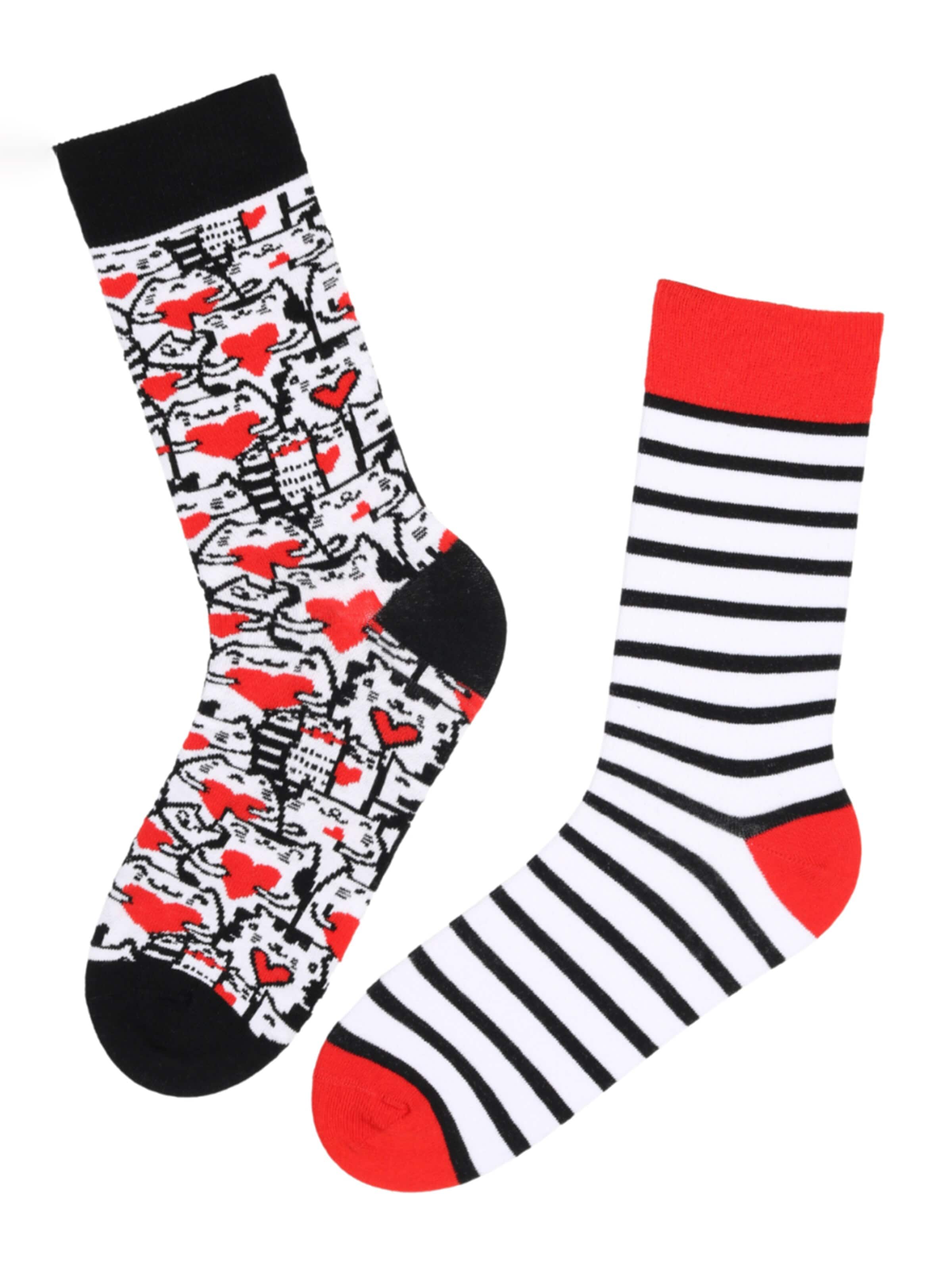 Chaussettes 'PURRFECT LOVE cotton socks' Sokisahtel en mélange de couleurs : devant
