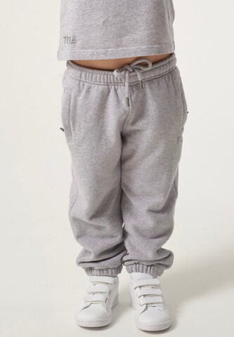 THAT GORILLA BRAND Regular Pants in Grey: front