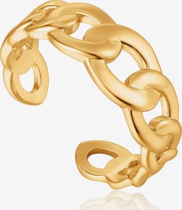 ANIA HAIE Ring in Gold: predná strana