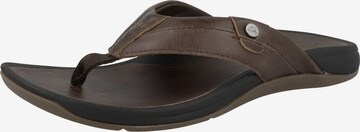 REEF Classic Flats 'Pacific Le' in Brown: front