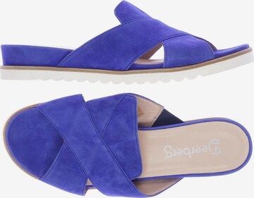 Deerberg Sandals & High-Heeled Sandals in 42 in Blue: front