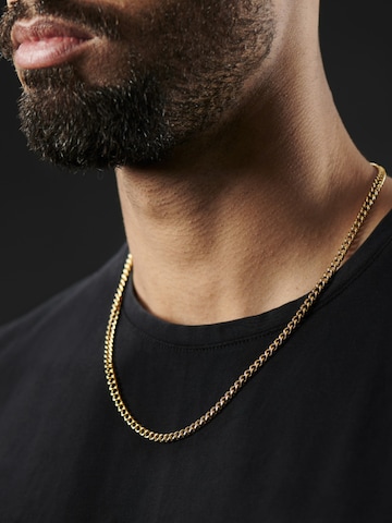 Lucleon Necklace 'Essentials' in Gold