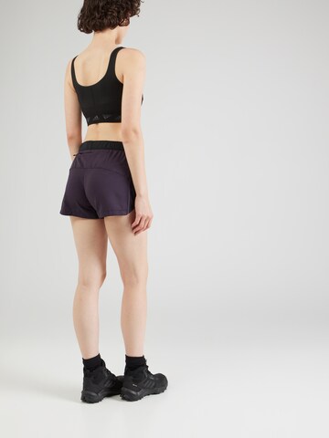 ADIDAS TERREX Regular Outdoorshorts in Blau