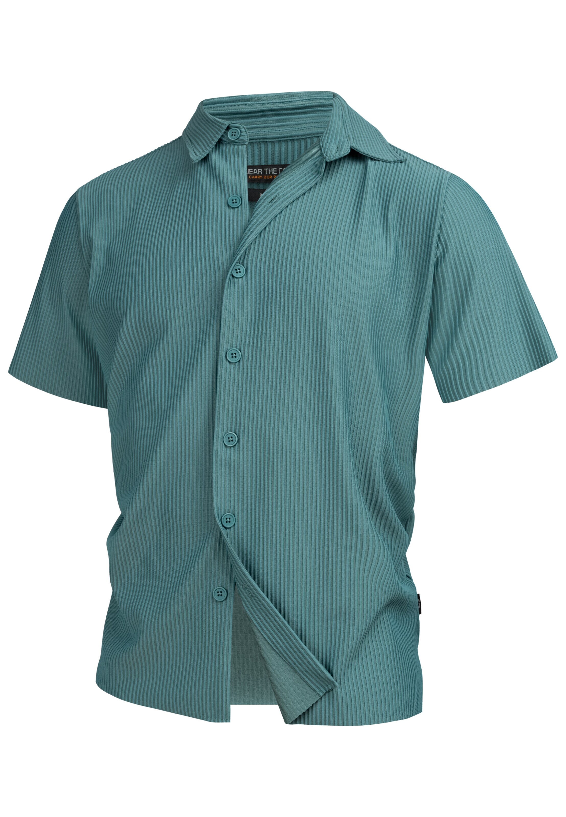 INDICODE JEANS Hemd 'Lamgo' in Grün: Vorderseite