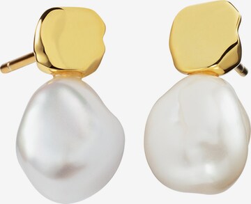 Paul Hewitt Earrings in Gold: front