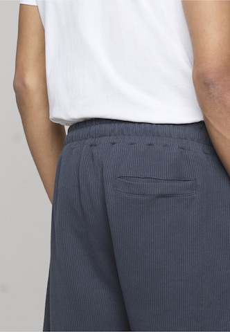 Pegador Regular Broek 'Signar' in Blauw