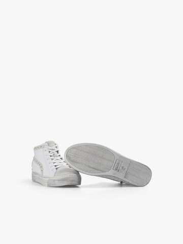 Scalpers Sneaker in Weiß