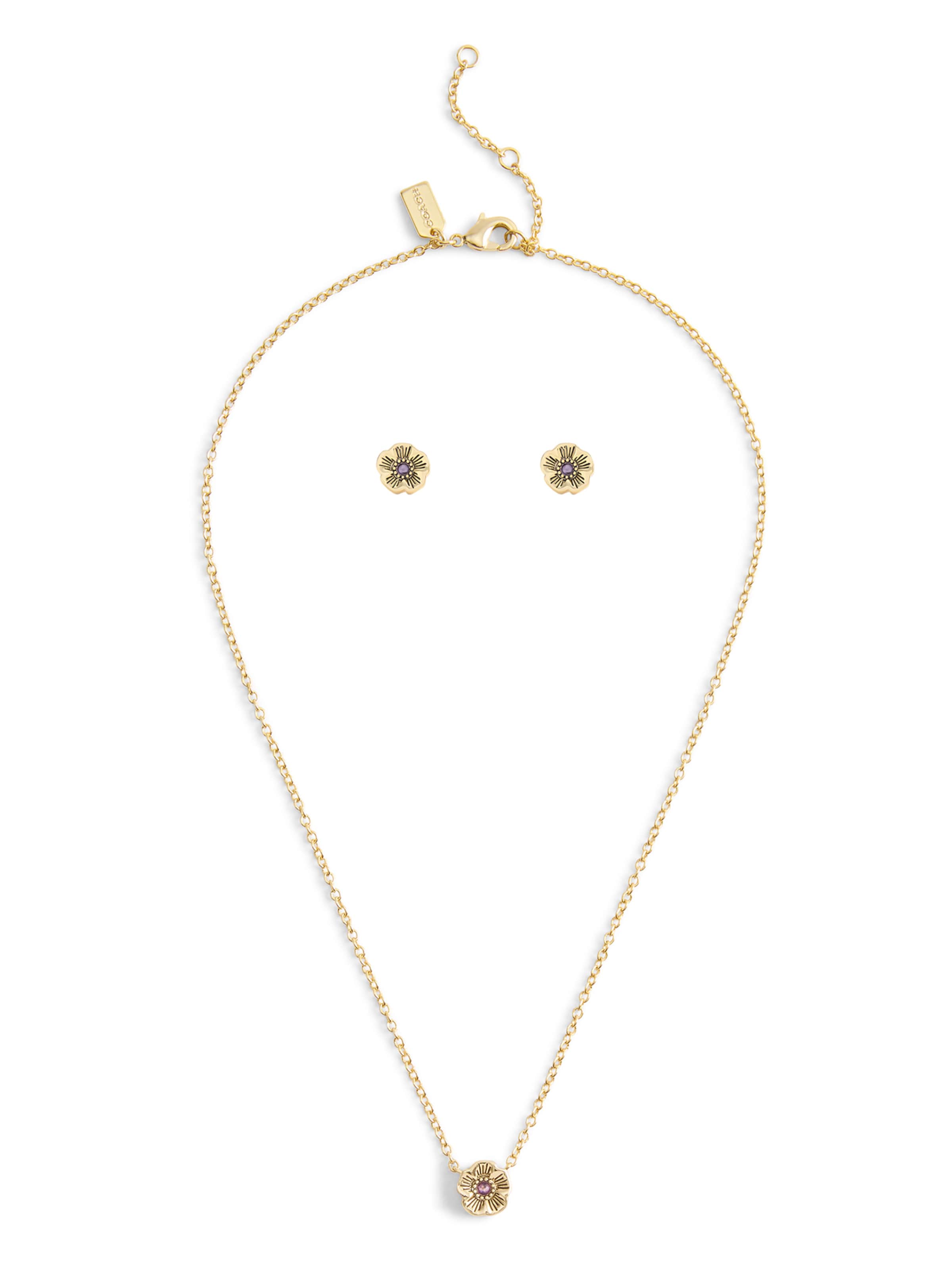 COACH Комплект украшений 'Tea Rose' в Золотой: спереди