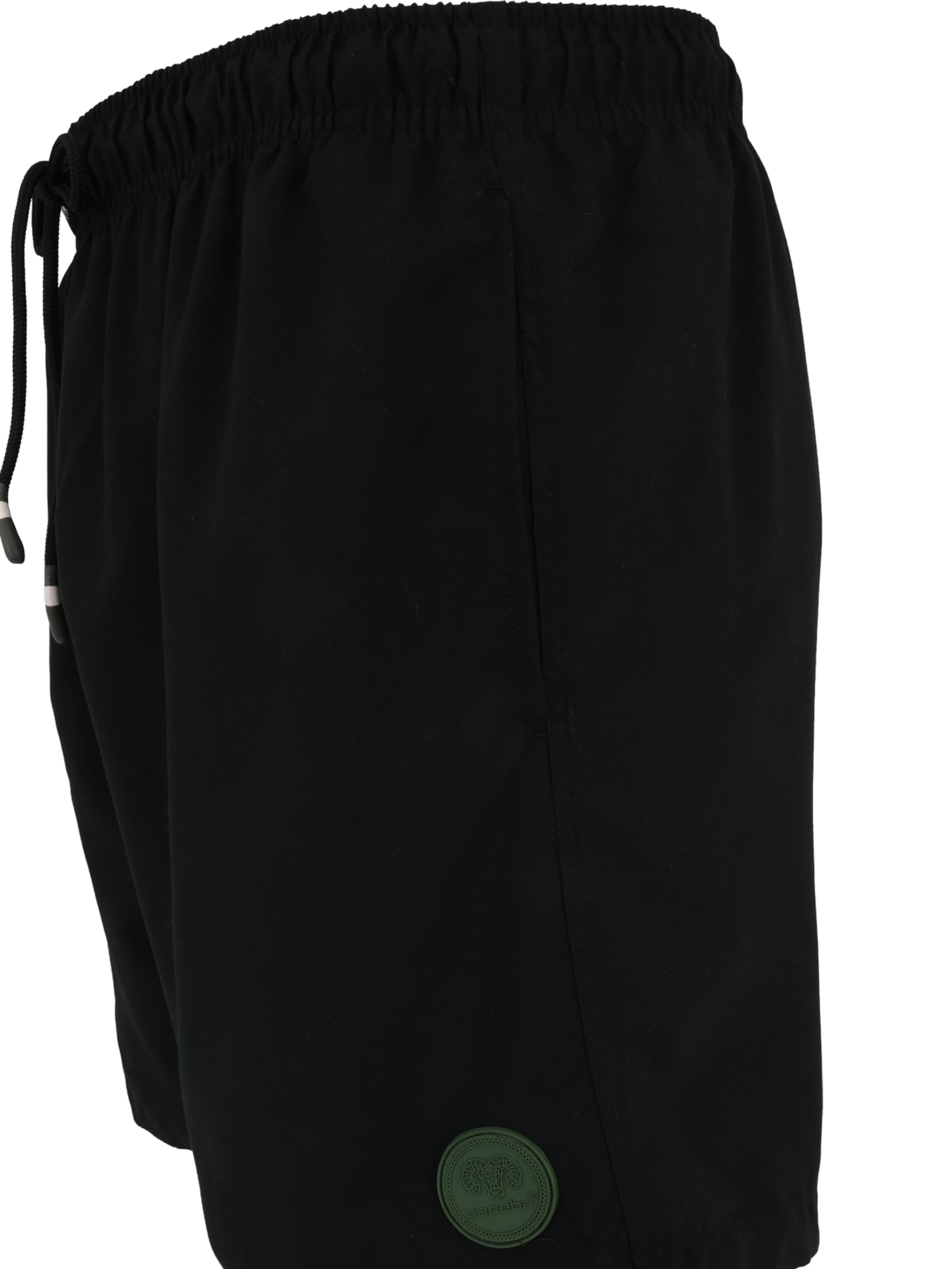 CECEBA - Bermudas en negro