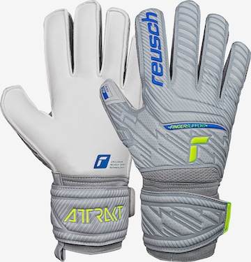 REUSCH Athletic Gloves 'Attrakt' in Grey: front