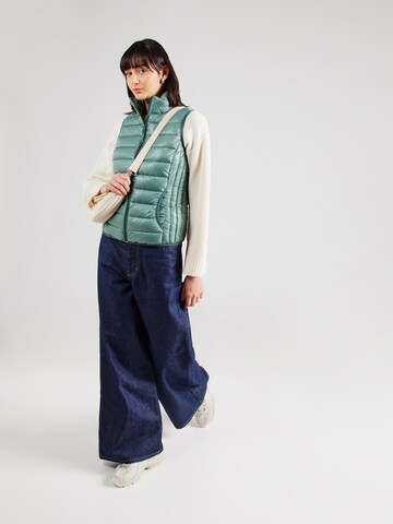 Gilet QS en vert