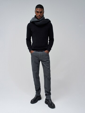 Salsa Jeans Slimfit Hose in Grau