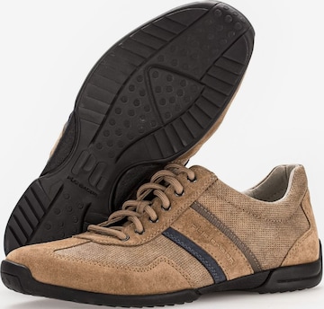 Pius Gabor Athletic Lace-Up Shoes in Brown