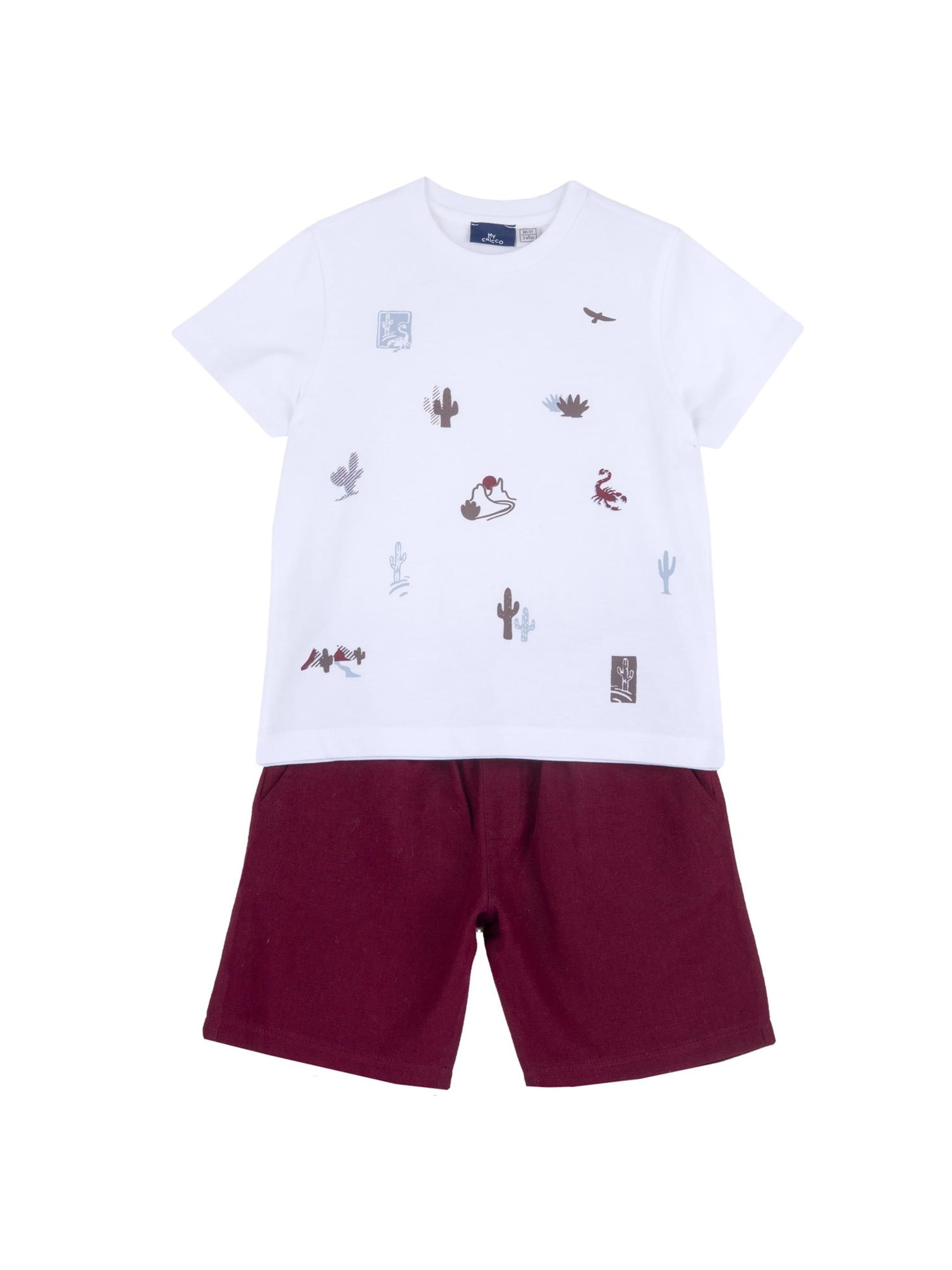 Chicco Set i vit: framsida