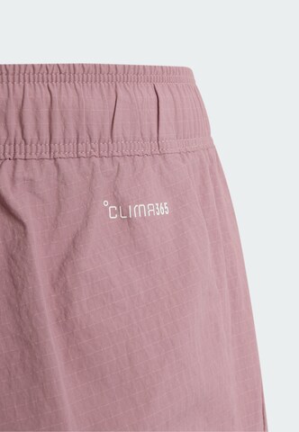 ADIDAS TERREX - Tapered Calças outdoor 'Xploric CLIMA365' em roxo