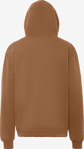 ALEKO Sweatshirt in Braun