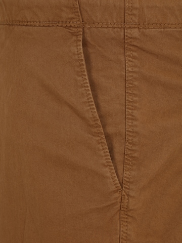s.Oliver Men Big Sizes Regular Pants in Brown