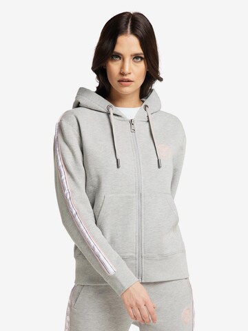 Carlo Colucci Zip-Up Hoodie 'Cattaruzza' in Grey: front