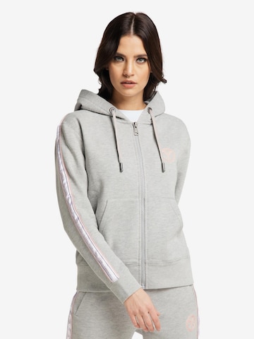 Carlo Colucci Zip-Up Hoodie 'Cattaruzza' in Grey: front