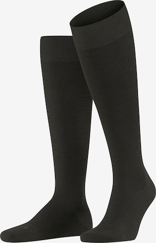 FALKE Knee High Socks 'Energizing Wool' in Brown: front