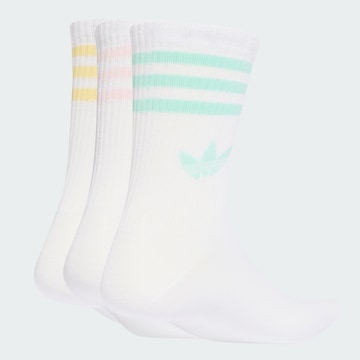 ADIDAS ORIGINALS - Meias em branco