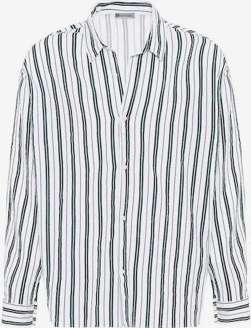 žalia Dandalo Standartinis modelis Marškiniai: priekis