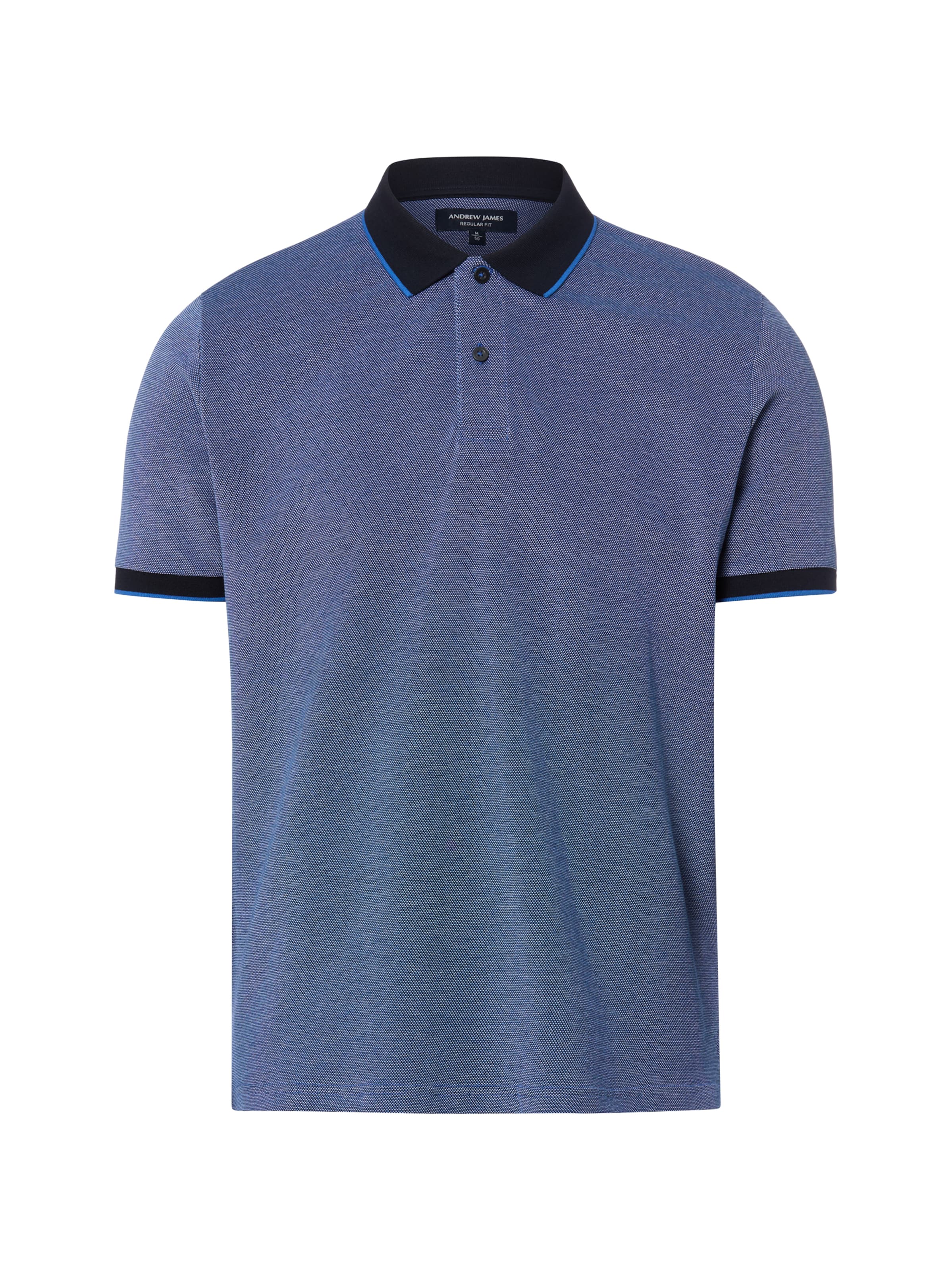 Andrew James Shirt in Blue: front