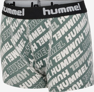 Hummel Underpants 'Nolan' in Green