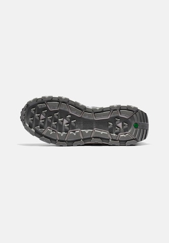 Sneaker bassa 'Winsor Trail' di TIMBERLAND in grigio