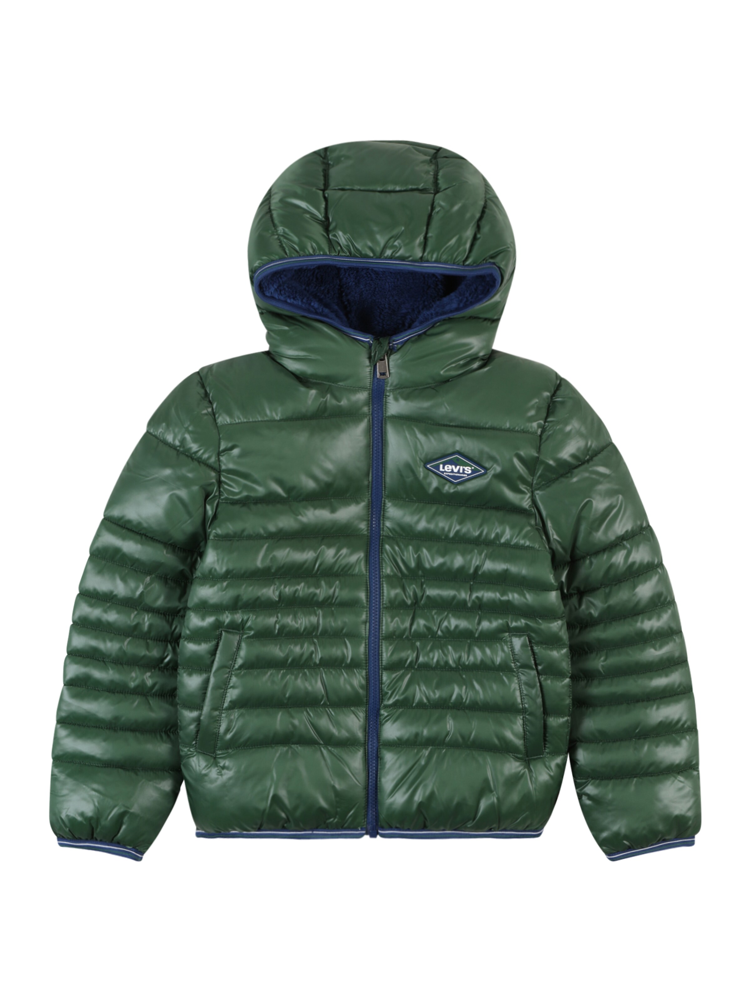 Levi's Kids Winter Jacket in Green: front