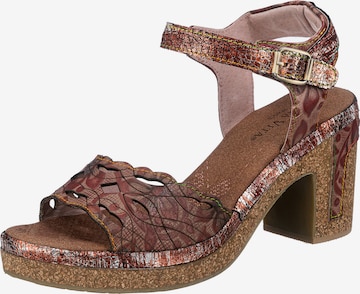 Laura Vita Strap Sandals ' Hecalo' in Brown: front