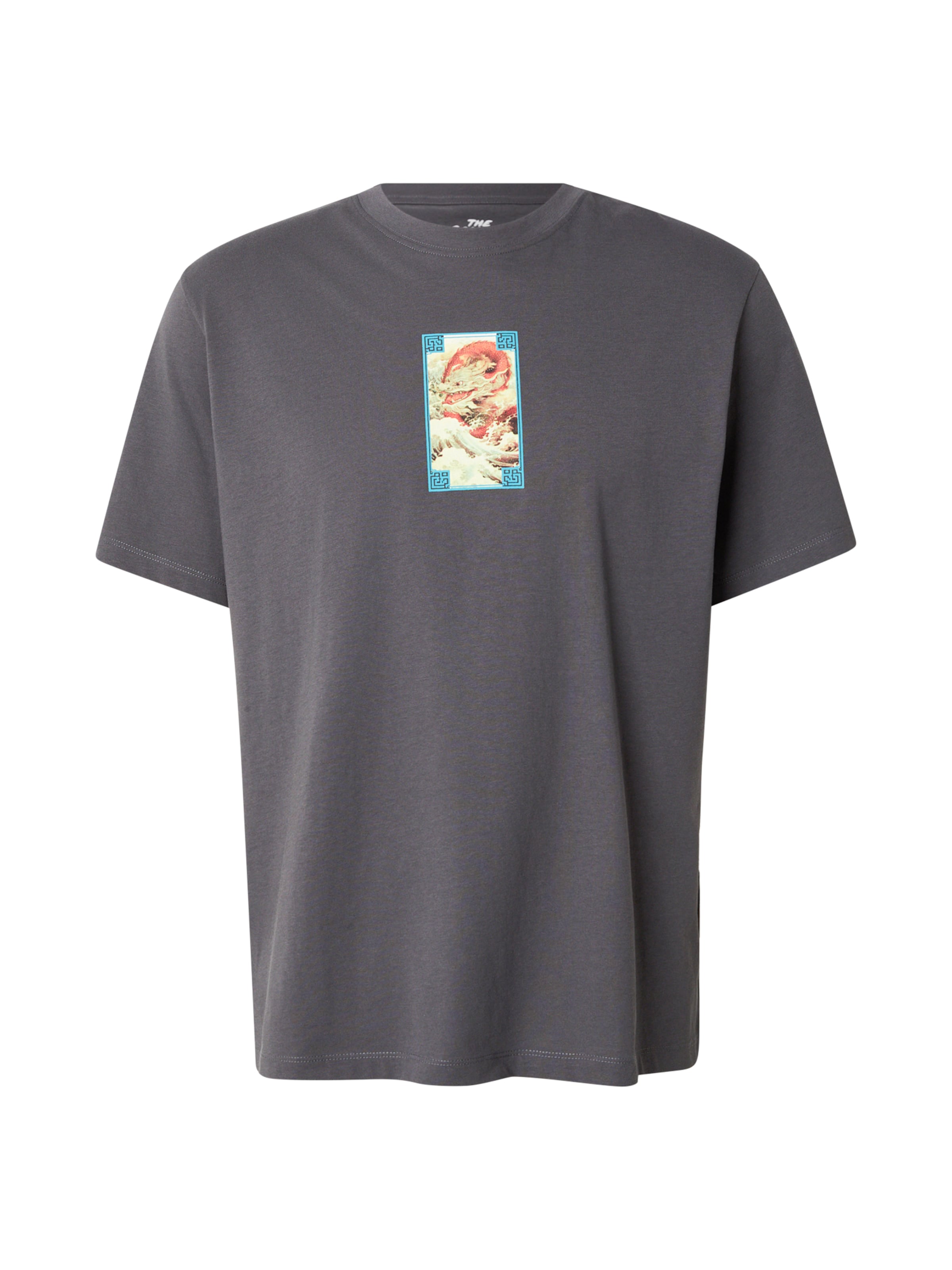 JACK & JONES Bluser & t-shirts 'JORBIG JAPAN' i grå: forside