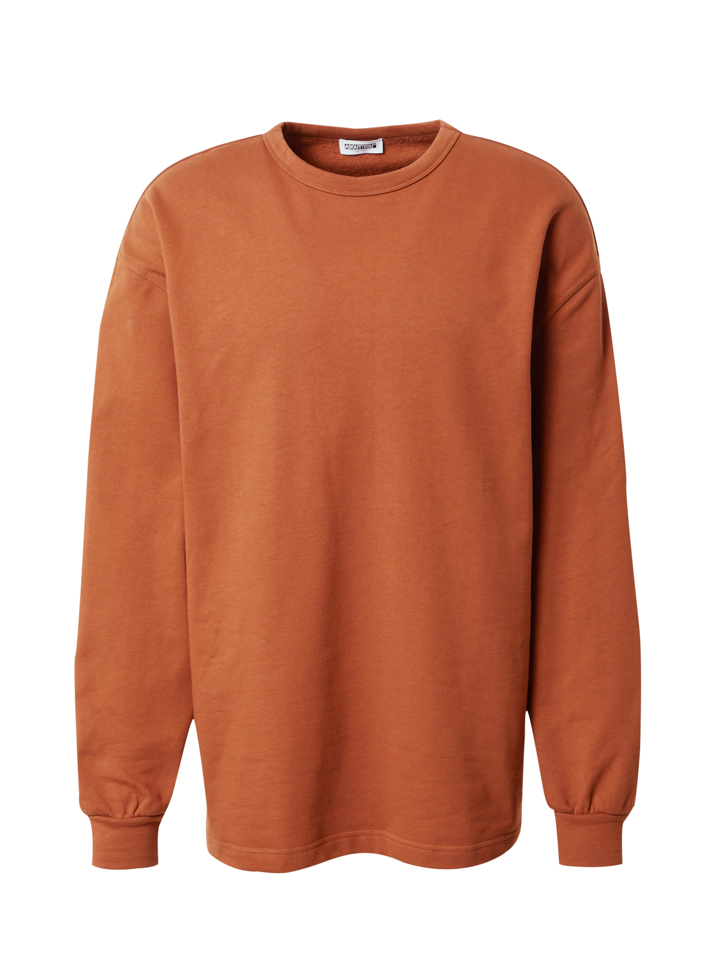 ABOUT YOU Limited Sweatshirt &#x27;Luca&#x27; in Brown: front