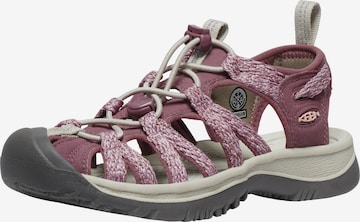 KEEN Hiking Sandals in Purple: front