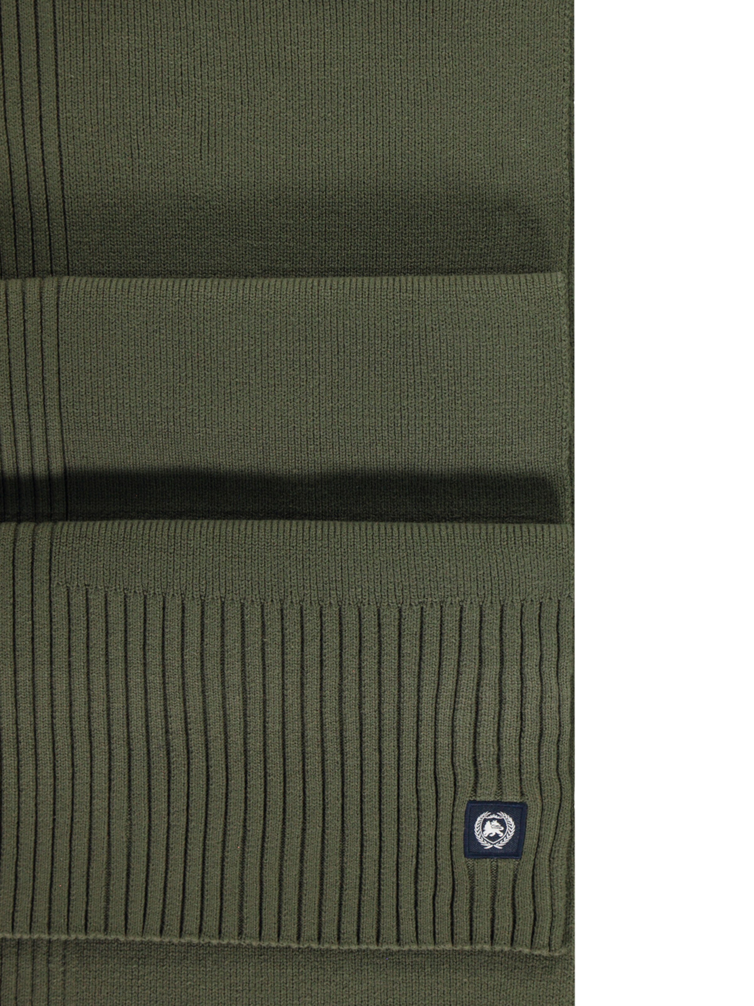 LERROS Schal in Grün