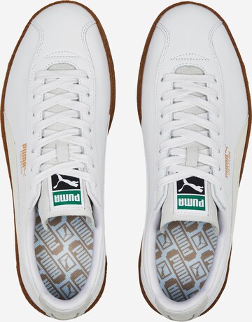 Baskets basses 'Delphin' PUMA en blanc