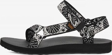 TEVA Sandale in Schwarz: Vorderseite