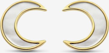 Ti Sento Milano Earrings in Gold: front